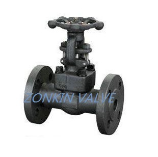 Forged Steel Gate Valve