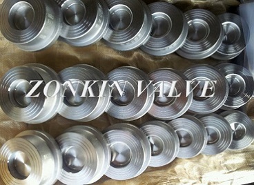 SS Wafer Check Valve Manufacturer