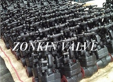 Forged Steel Gate Valve Manufacturer